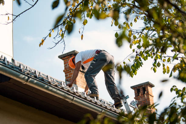 Best Commercial Roofing Services  in Centrevle, IL